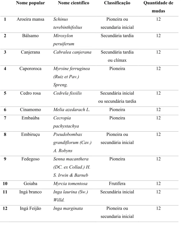 Tabela 1. Espécies utilizadas no plantio e sua classificação na sucessão ecológica.  