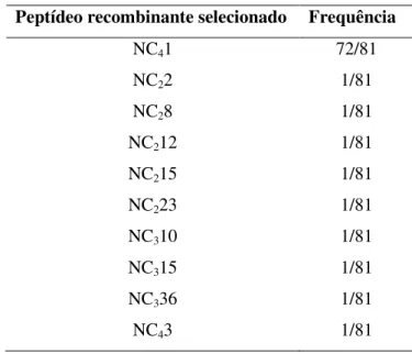 Tabela 3: Seqüência de aminoácidos dos principais peptídeos expressos nos fagos.  