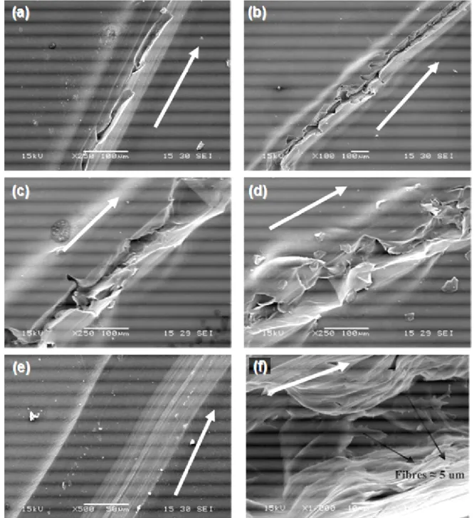 Figura 2.11 -   Micrografias de riscamentos no PEEK com diferentes penetradores, cargas e  velocidades
