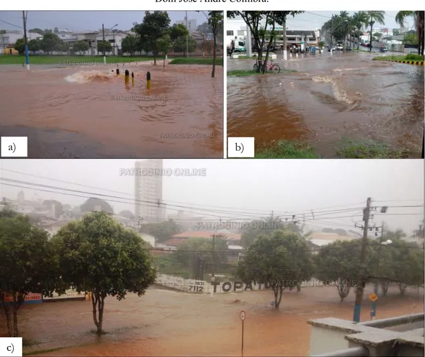 Figura 10: (a; b; c) Inundações identificadas na bacia do Córrego Rangel, ao longo da Avenida  Dom José André Coimbra