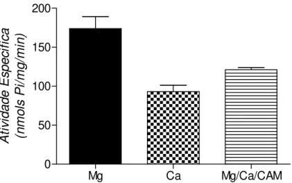 Figura  3: Atividade  ATPásica  da  fração  P4  de  larva  de  Pachymerus  nucleorum.  Adicionou-se  9  g  de  proteína de  P4  ao  meio  de  reação  (Imidazol 25 mM pH 7,5, EDTA 1 mM, DTT 1 mM, KCl 60 mM) e onde  indicado  MgCl 2   4  mM,  CaCl 2   4  mM