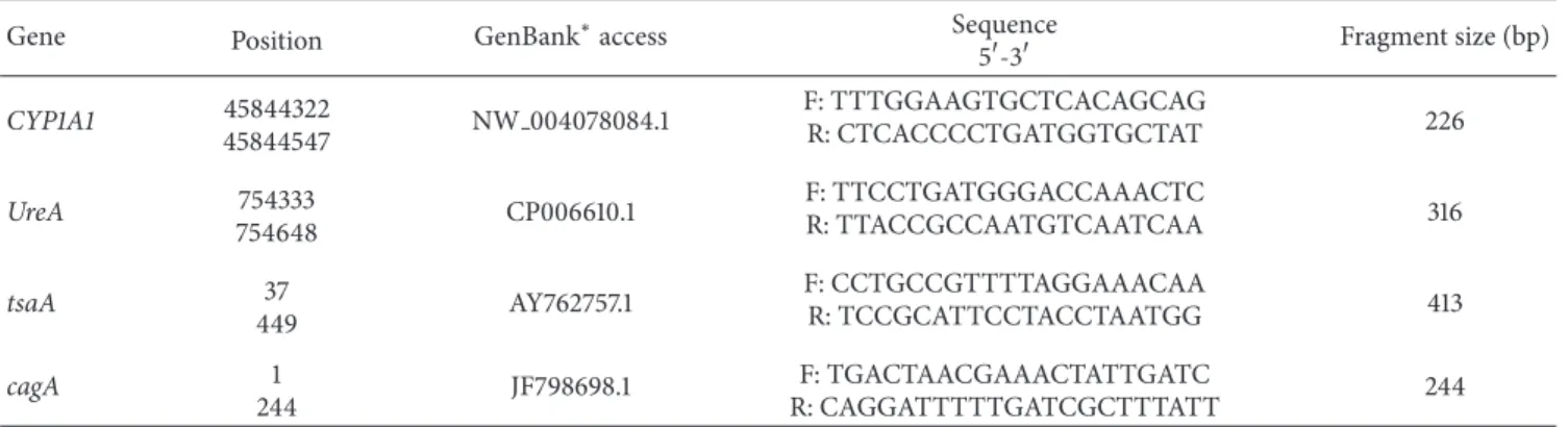 Table 1: Sequence of primers and size of the fragments generated to determine H. pylori infection and cagA genotype.