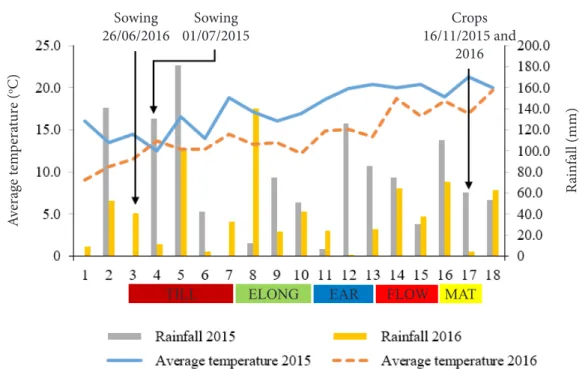 Figure 1. Data regarding average temperature (°C) and rainfall (mm) per 10-day period, starting on the first period of June  (1) up to the last period of November (18), in the crop years of 2015 and 2016 in the municipality of Guarapuava, PR