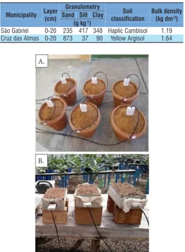 Figure 1.  CS616 sensor calibration with disturbed samples  from São Gabriel (A) and undisturbed samples from Cruz  das Almas (B)Municipality Layer(cm) Granulometry Soil classification Bulk density(kg dm-3)Sand Silt Clay