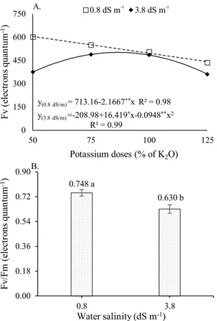 Figure 3. Variable fluorescence – Fv (A) as a function of the  interaction between irrigation water salinity and potassium  doses, and potential quantum efficiency of photosystem  II - Fv/Fm (B) of West Indian cherry plants irrigated with  saline water at 