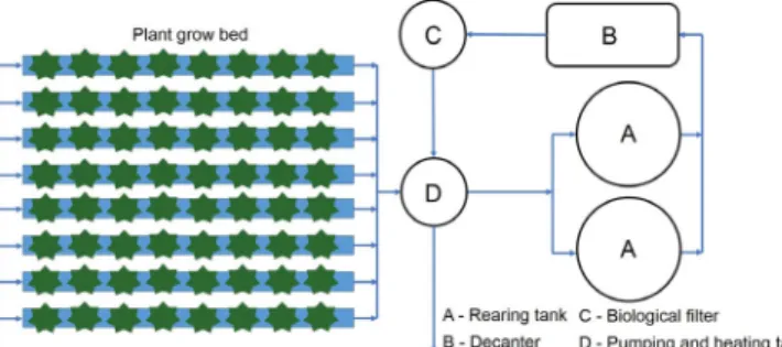 Figure 1. Scheme of the main components of the aquaponic  system