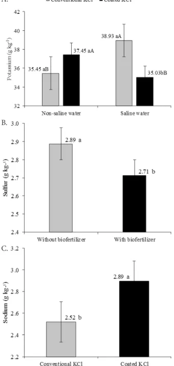 Figure 3. Potassium, sulfur, and sodium levels in the leaf  dry matter of yellow passion fruit plants, as a function of  the interaction between potassium type (conventional or  polymer-coated) and water irrigation treatment (non-saline  and saline water -
