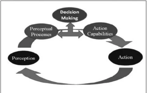 Figura 2 – Representação gráfica da relação cíclica entre a percepção e a acção, mostrando a tomada de  decisão como resultado da combinação entre o processo perceptivo e a capacidade de acção