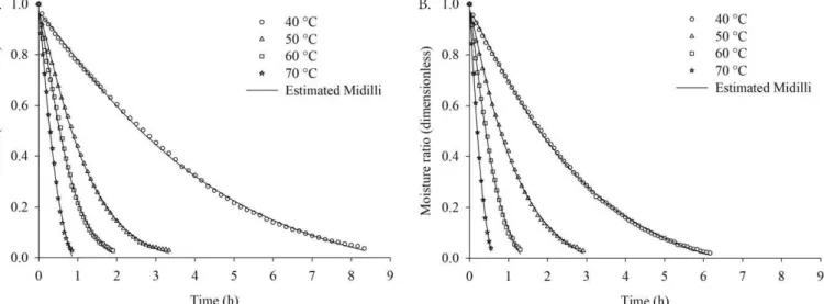 Figure 2 . Moisture ratio data observed and estimated by the Midilli model for the thin-layer drying of blackberry leaves  at air speeds of 0.4 m s -1  (A) and 0.8 m s -1  (B)