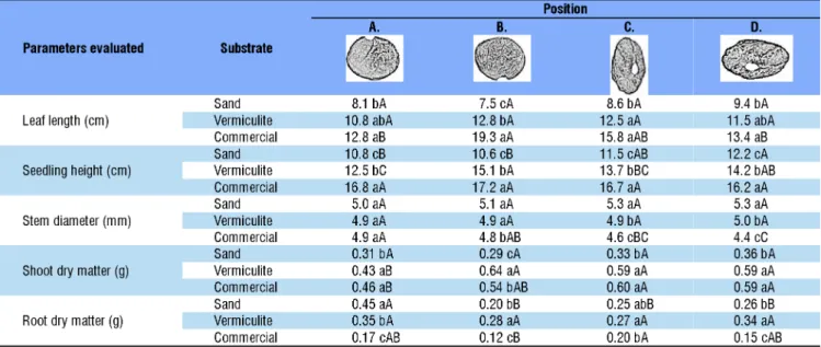 Table 3. Leaf length, seedling height, stem diameter, shoot dry matter and root dry matter of  Plukenetia volubilis  seedlings  from seeds sown in different substrates and in the following positions: hilum facing up (A), hilum facing down (B), seed  lying 