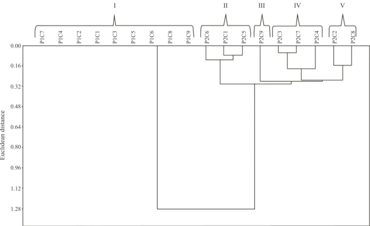 Figure 2. Dendrogram of dissimilarity for the groups formed by the combination of cowpea cultivars (C1 - BRS Guariba; 