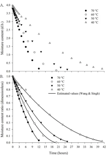 Figure 1. Experimental moisture content (A) and moisture  content  ratio  (B)  of  ‘okara’  (decimal,  d.b.)  with  values  obtained  experimentally  and  estimated  by  the  Wang  &amp; 