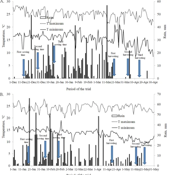 Figure 1. Temperature and rainfall of the experimental area during the trials performed in the growing seasons 2012/13  (A) and 2013/14 (B)