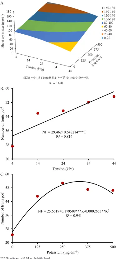 Figure 2. Shoot dry matter (SDM) (A) and number of fruits  (NF) (B and C) of ‘BRS Iracema’ cherry tomatoes under  water availability levels and potassium doses in dystrophic  Red Latosol NF = 29.462+0.648214***TR² = 0.81620283644526041424 34 44