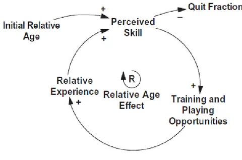 Figura 3.1 - Ciclo do Feedback Positivo atrás do Modelo Comportamental 