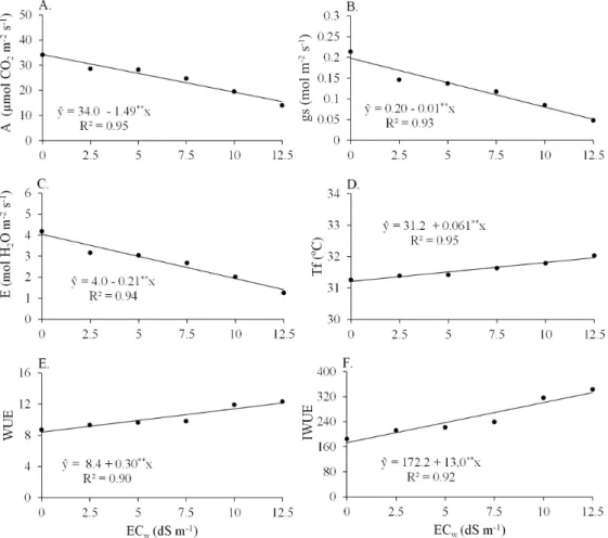 Figure 1. A = Photosynthesis rate (A), gs = Stomatal conductance (B), E = Transpiration (C), Tf = Leaf temperature  (D), WUE = Instantaneous water use efficiency (E), and IWUE = Intrinsic water use efficiency (F) in different sorghum  genotypes, after 60 d