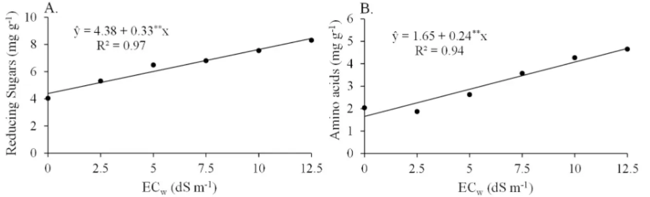 Figure 2. Chlorophyll a and b contents in leaves of ten  forage sorghum genotypes - F305 (G1), BRS-655 (G2),  BRS-610 (G3), Volumax (G4), 1.015.045 (G5), 1.016.005  (G6), 1.016.009 (G7), 1.016.013 (G8), 1.016.015 (G9)  and 1.016.031 (G10) 