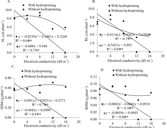 Figure 3. Shoot length (SL, A), root length (RL, B), shoot dry matter (SDM, C) and root dry matter (RDM, D) of sunflower  seedlings, hybrid MGP305, with and without hydropriming, at different salinity levels