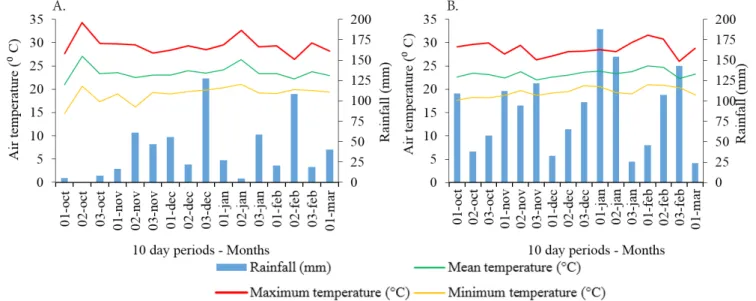 Figure 1. Minimum, mean and maximum air temperature and rainfall accumulated along the experiments, season  2014/15 (A) and 2015/16 (B) 