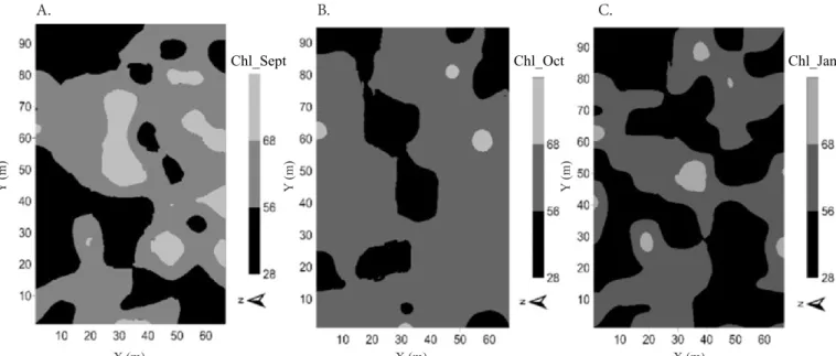 Figure 2. Thematic maps of chlorophyll levels (Chl) in cocoa trees in September (A), October (B) and January (C)