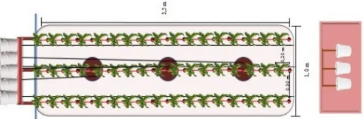 Table 1. Physical characteristics of the soil profile in the experimental area of the Arapiraca Campus, in the 0-20 cm layer Figure  1