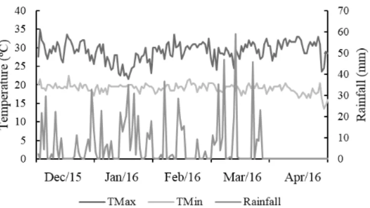 Figure 1. Daily climatic data of maximum temperature (TMax)  and minimum temperature (TMin) and cumulative rainfall  along the cycle of common bean and castor bean plants in  intercropping/monocropping in Anápolis-GO, Brazil
