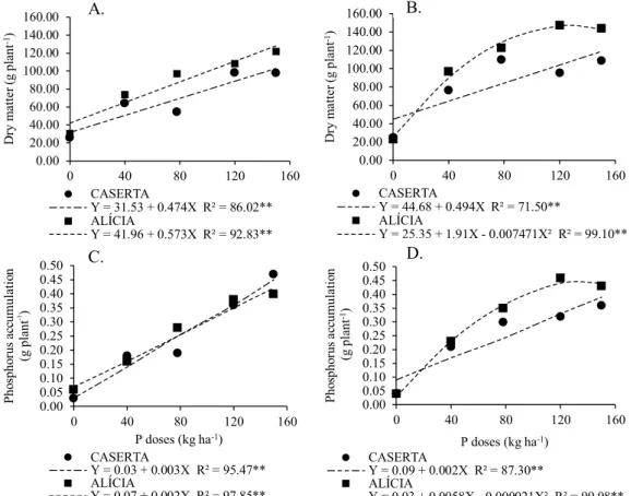 Figure 2. Plant dry matter in period 1 (A) and period 2 (B), and phosphorus accumulation in the plant in period 1 (C)  and period 2 (D), in Italian zucchini for the cultivars Alícia ( ■ ) and Caserta ( ● ), as a function of phosphorus – P doses