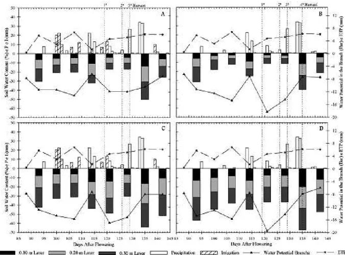 Figure 1. Temporal variation of the water potential in the branch (Yw), precipitation (P), irrigation depth (I), potential  evapotranspiration (ETP) and soil water content (q) at 0.10 m, 0.20 m and 0.30 m for the period from 90 to 143 days  after flowering