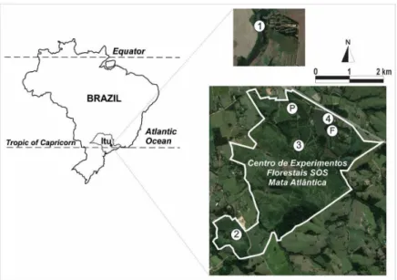 Figure 1. Location of the studied sites in Itu-SP, Southeastern Brazil. P: pasture, F: secondary reference forest; 1-4: forest  restoration sites of 8(1), 24(2), 48(3) and 84(4)-month age