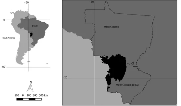 Figure 1.  Location of the Brazilian Pantanal wetland in South America (in dark).