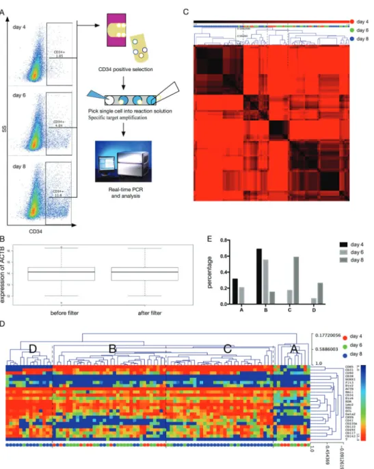 Figure 2. Single-cell gene expression analysis of CD34 + cells derived from H1/OP9 coculture system