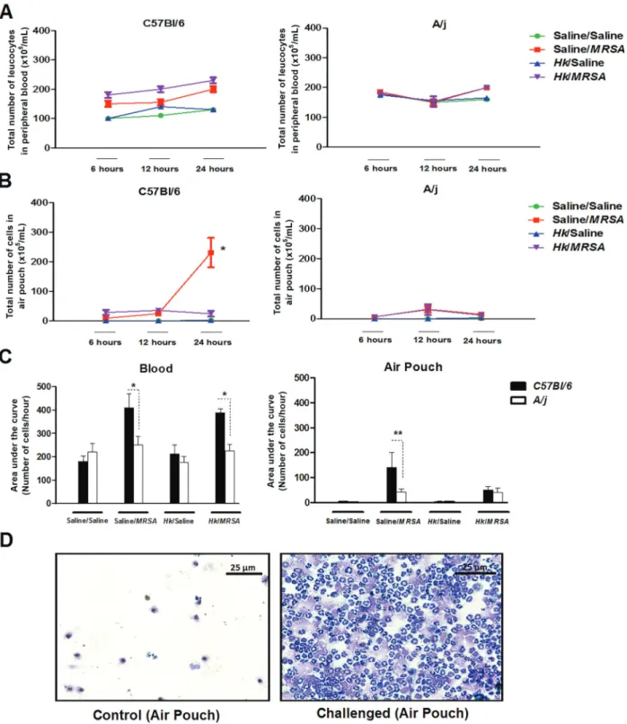 Figure 4. C57BL/6 and A/j mice previously immunized with 10 6 strains of MRSA inactivated by heat were challenged in the air pouch with 10 7 colony forming units (CFU) of live MRSA