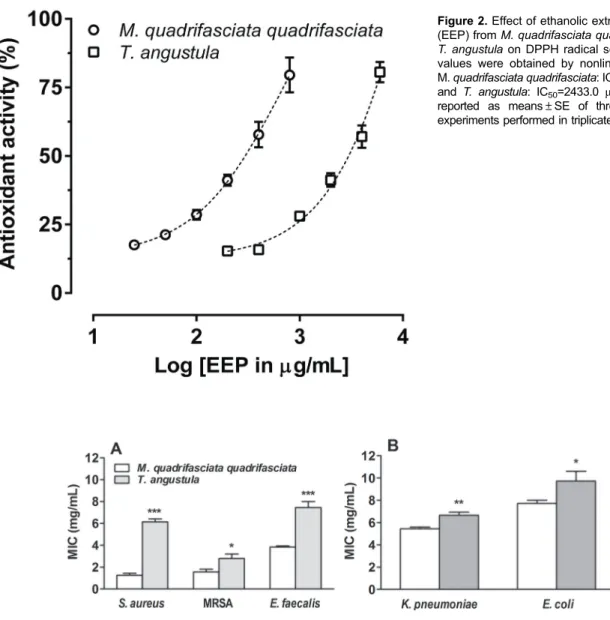 Figure 3. Susceptibility of bacterial strains to ethanolic extracts of propolis in minimal inhibitory concentration (MIC)