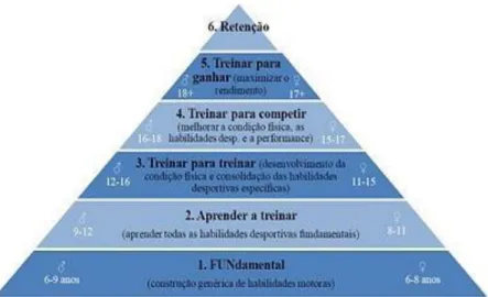 Figura 3 - Modelo LTAD (Stafford, 2005)