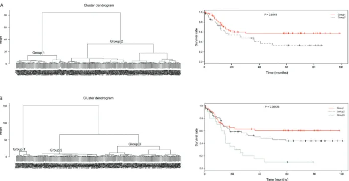 Figure 7. Clustering of gastric cancer samples in GSE62254 dataset based on genes in yellow (A) and turquoise (B) modules.