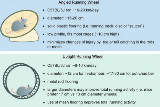 Figure 1. Characteristics of the different types of running wheels for mice. The design of the running wheel can affect total voluntary running activity in mice
