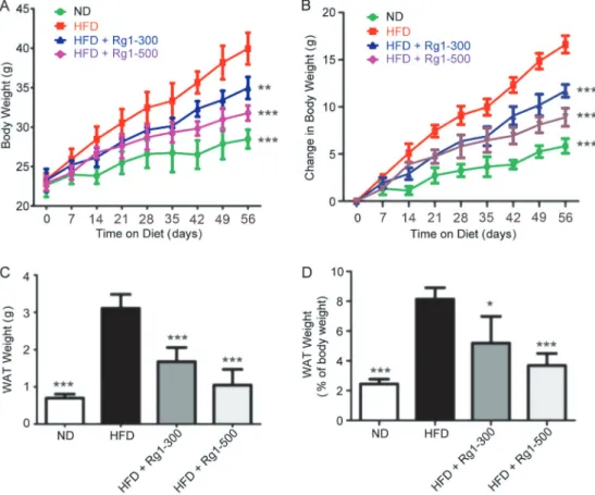 Figure 1. Effect of ginsenoside Rg1 on dietary-induced body weight gain. The high-fat diet (HFD)-fed mice were treated with or without ginsenoside Rg1 at a dose of 300 mg  kg –1  day –1 (Rg1-300) or 500 mg  kg –1  day –1 (Rg1-500) for 2 months (n=12 mice/g