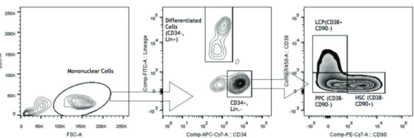 Figure 2. CD47 expression in control vs myelo ﬁ brosis (MF) CD34-positive (pos) cells