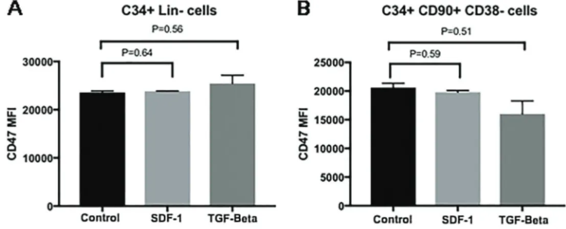 Figure 5. CD47 expression after exposure to SDF-1 and TGF-  . A, Comparison in CD34 positive cells and B, Hematopoietic stem cells (Welch-corrected Student ’ s t-test)