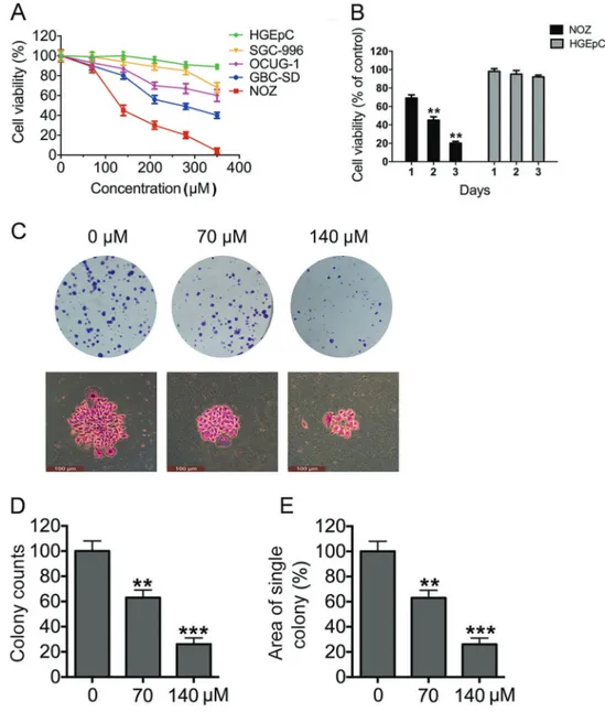Figure 1. Tea polyphenols (TPs) inhibit gallbladder cancer (GBC) cell growth in a dose- and time-dependent manner