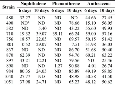 Table 3 shows the maximal values of the activities of the enzymes produced after growth of all 13 strains in anthracene.