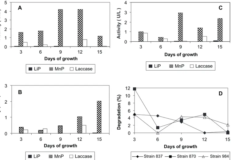 Figure 2. Activity of ligninolytic enzymes produced following growth of the strains in phenanthrene