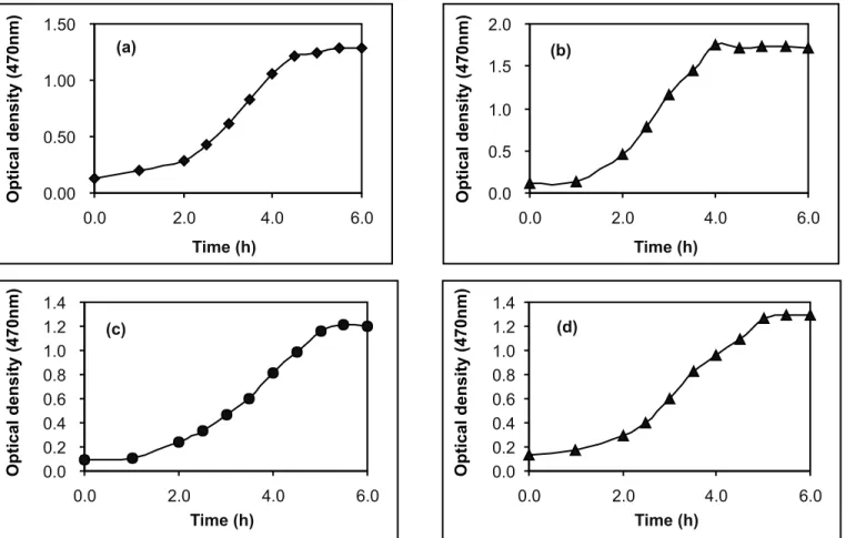 Figure 2. Growth curve of the endospore forming thermophile cultivated in minimal medium supplemented with yeast extract (0.5%) at 50ºC (a), 55ºC (b), 60ºC (c) and 65ºC.
