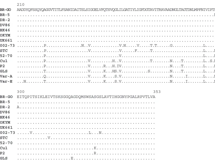 Figure 3. Alignment and comparison of deduced amino acid sequences (numbering according to Bayliss et al., 1990) of the hypervariable region of ORF2 of very virulent strains (BR-5, DV86, HK46, OKYM, and UK661) and non-very virulent serotype 1 strains (002-