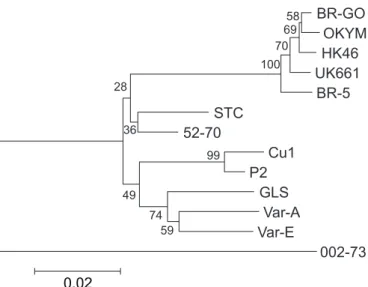 Figure 4. Phylogenetic tree based on the nucleotide sequence of the hypervariable region of ORF2 of the BR-GO, very virulent (BR-5, DV86, HK46, OKYM, and UK661) and non-very virulent serotype 1 strains (002-73, STC, 52-70, Cu1, P2, GLS, Var-A, and Var-E)