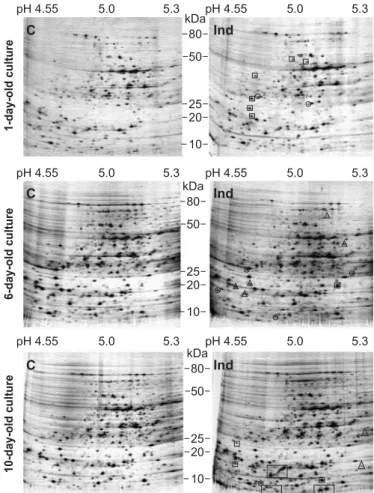 Figure 2. (A) The total number of protein spots obtained, over time, from X. fastidiosa 9a5c grown on solid PWB amended with Pc extract (Induced) and on solid PWB without Pc extract (Control)