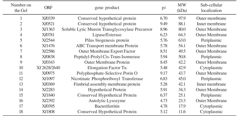 Table 1. Proteins of Xylella fastidiosa obtained from samples treated with ASB 14, identified on 2-DE gels and sequenced through MALDI-TOF mass fingerprintXF0339.