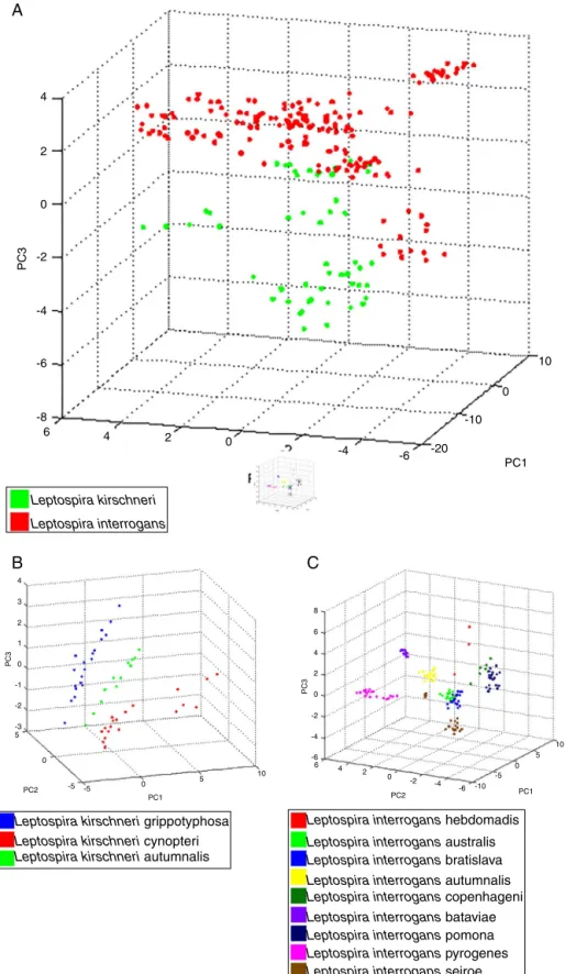 Fig. 3 – Principal component analysis (PCA) using tools ClinProTool TM . In (A), PCA of strains analyzed, for data standardization by species, data from different serovars were used