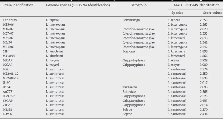 Table 2 – Identification results of 22 leptospiral field isolates by MALDI-TOF MS and 16S rRNA gene sequencing.