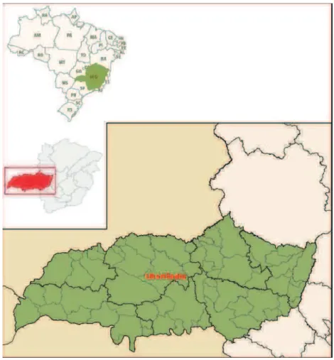 Figura 4.1: Triângulo Mineiro – Localização do Município de Uberlândia  Fonte: IBGE – Mapas, 2010 